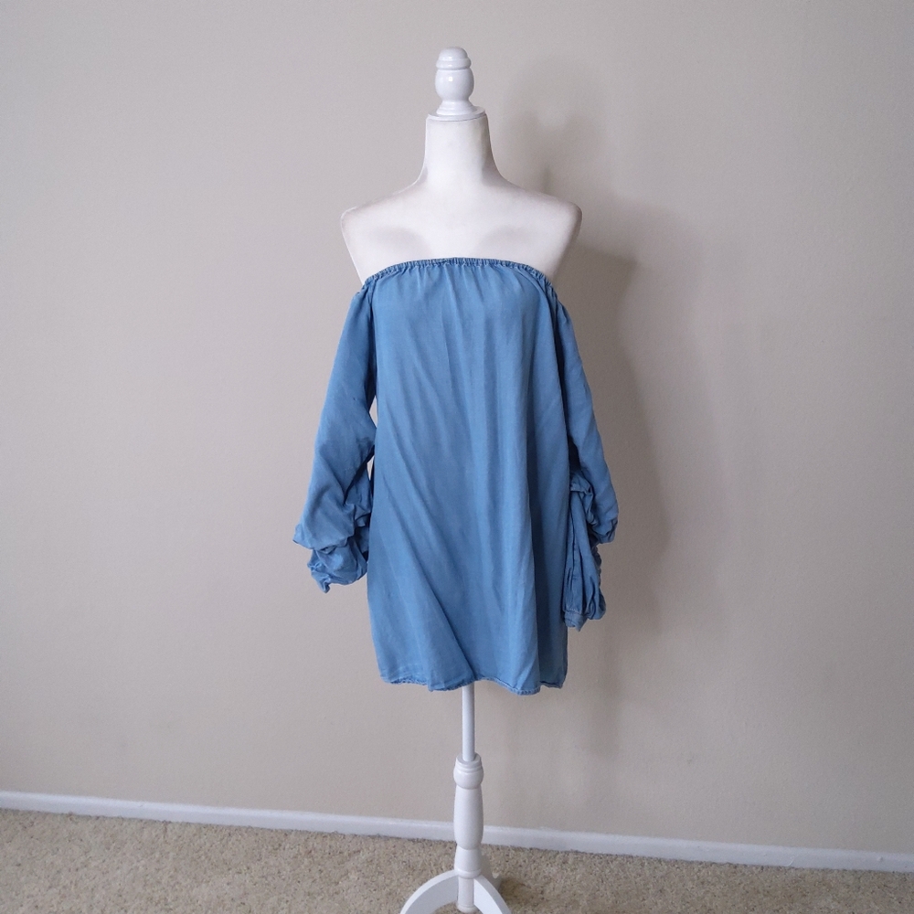 Zara Chambray butterfly Mini Dress